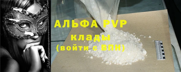 стаф Киренск