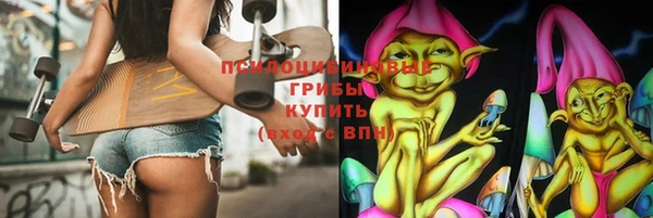 стаф Киренск