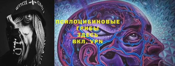 стаф Киренск
