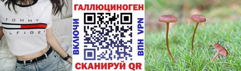 Галлюциногенные грибы Psilocybe купить наркотик Эртиль